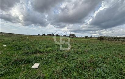 Çanakkale Halileli Köyü Satılık 11.050 M² Tarla !