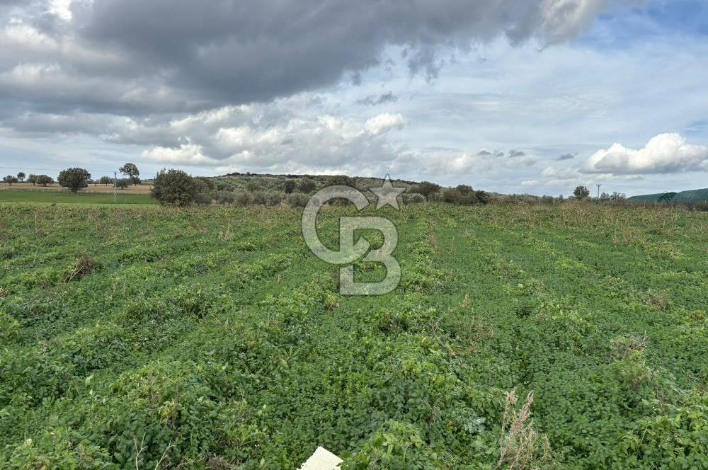 Çanakkale Halileli Köyü Satılık 11.050 M² Tarla !