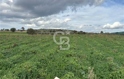 Çanakkale Halileli Köyü Satılık 11.050 M² Tarla !