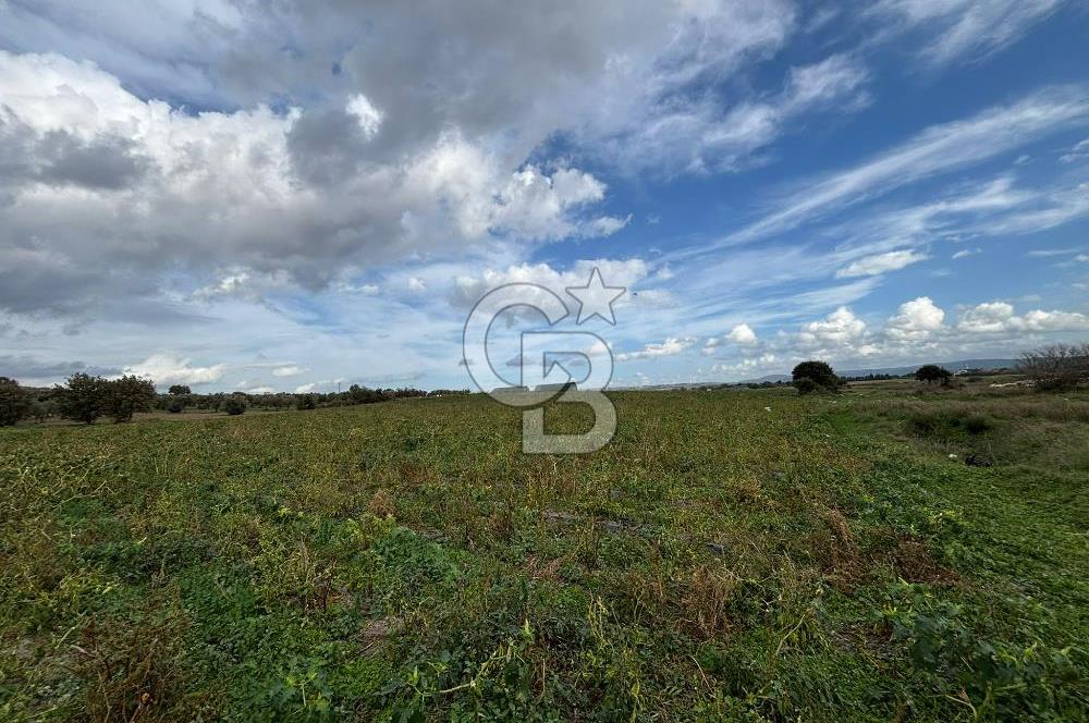 Çanakkale Halileli Köyü Satılık 11.050 M² Tarla !