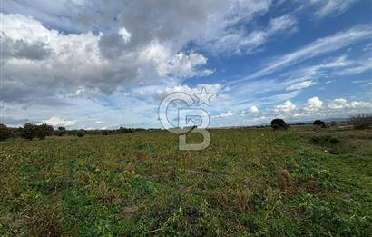 Çanakkale Halileli Köyü Satılık 11.050 M² Tarla !