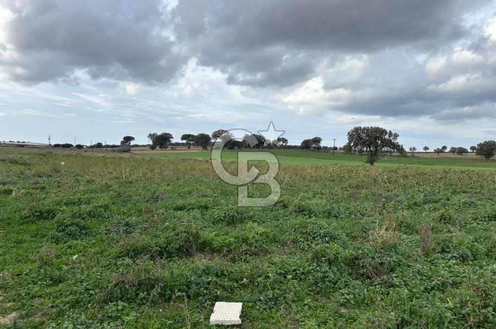 Çanakkale Halileli Köyü Satılık 11.050 M² Tarla !