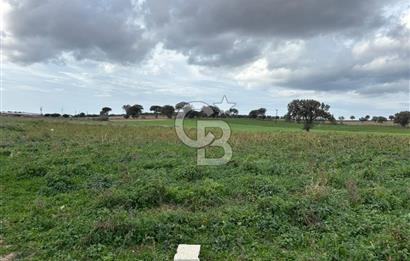 Çanakkale Halileli Köyü Satılık 11.050 M² Tarla !