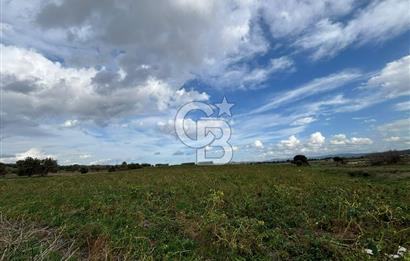 Çanakkale Halileli Köyü Satılık 11.050 M² Tarla !