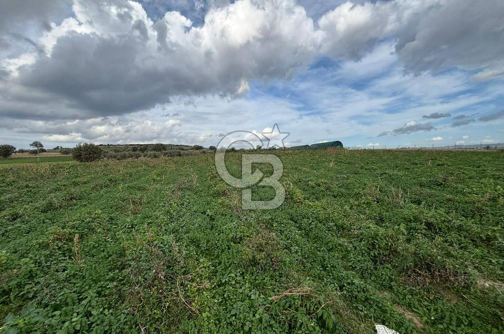 Çanakkale Halileli Köyü Satılık 11.050 M² Tarla !