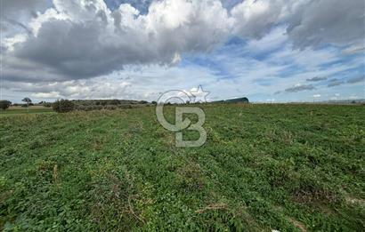 Çanakkale Halileli Köyü Satılık 11.050 M² Tarla !