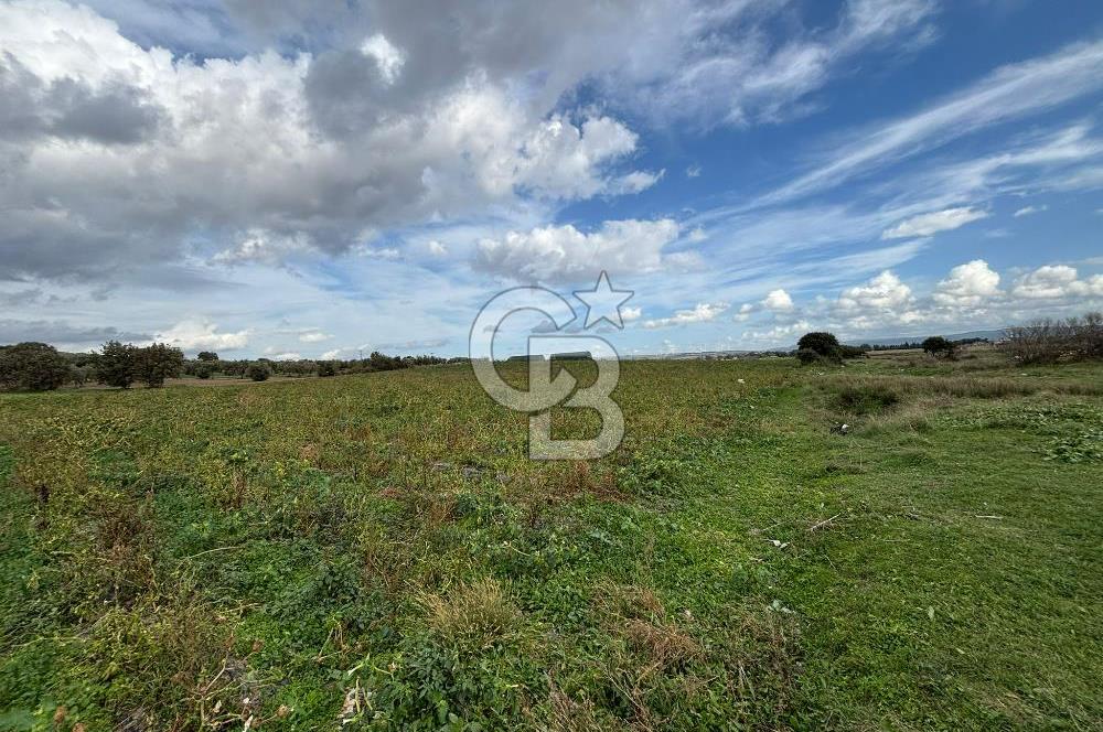 Çanakkale Halileli Köyü Satılık 11.050 M² Tarla !