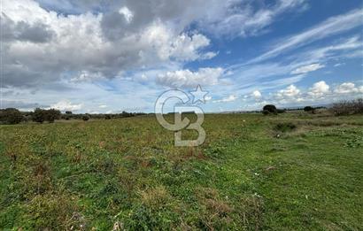 Çanakkale Halileli Köyü Satılık 11.050 M² Tarla !