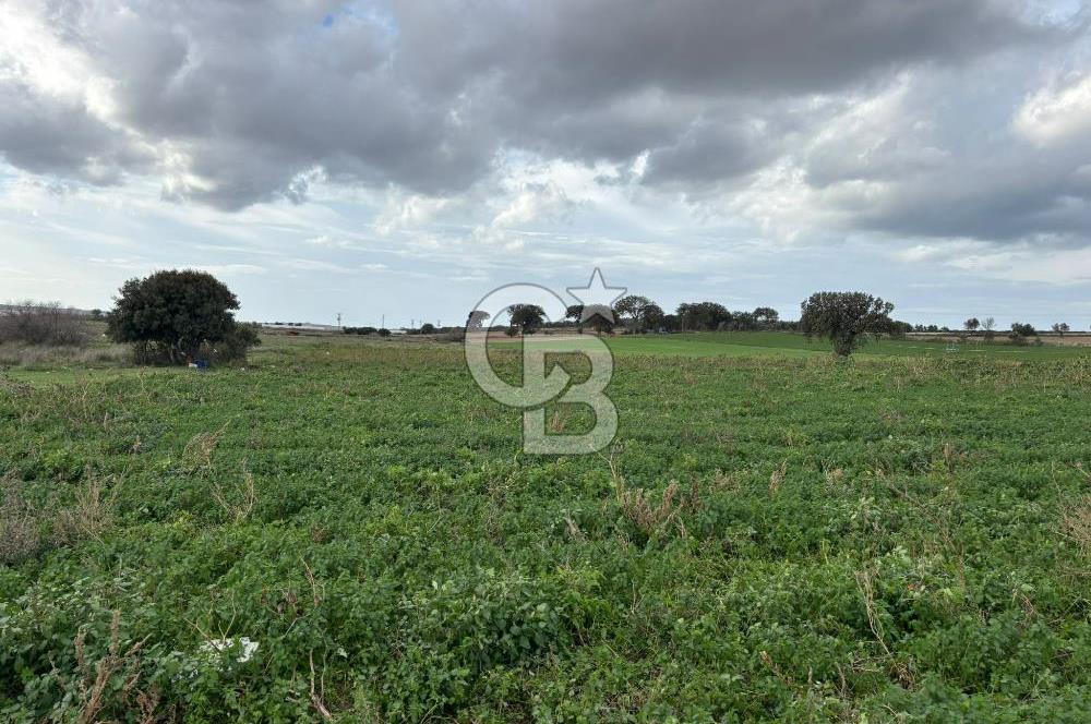 Çanakkale Halileli Köyü Satılık 11.050 M² Tarla !