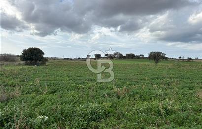 Çanakkale Halileli Köyü Satılık 11.050 M² Tarla !