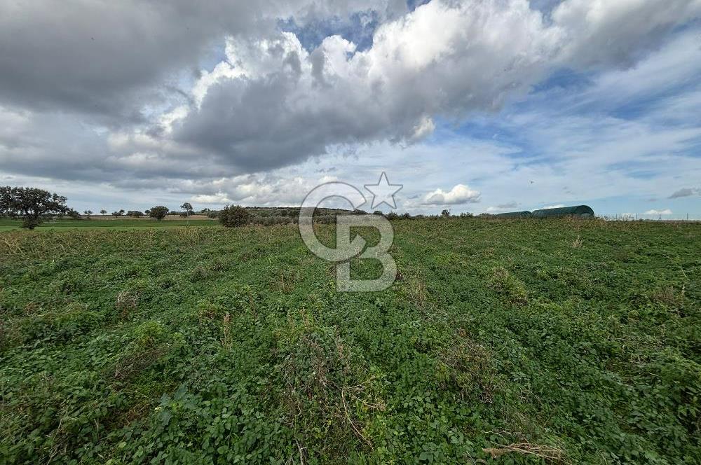 Çanakkale Halileli Köyü Satılık 11.050 M² Tarla !