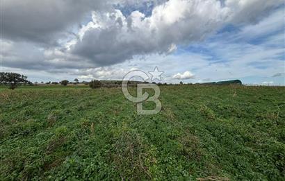 Çanakkale Halileli Köyü Satılık 11.050 M² Tarla !