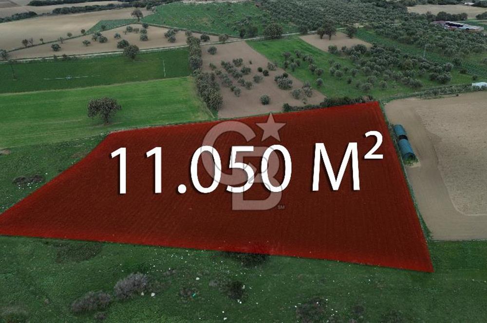 Çanakkale Halileli Köyü Satılık 11.050 M² Tarla !