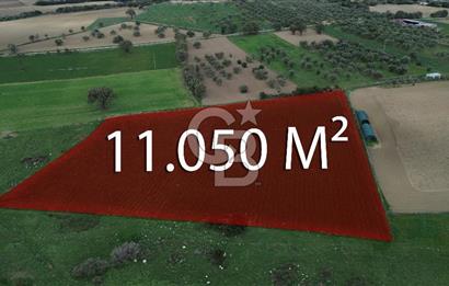 Çanakkale Halileli Köyü Satılık 11.050 M² Tarla !