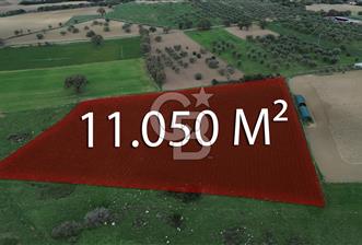 Çanakkale Halileli Köyü Satılık 11.050 M² Tarla ! - 1 - 318292