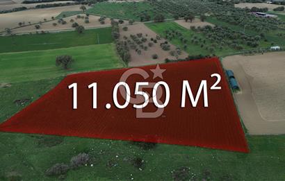 Çanakkale Halileli Köyü Satılık 11.050 M² Tarla !