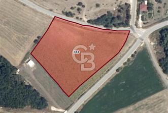 CB BLACK'TAN MUDANYA'DA SOĞUK HAVA DEPOLU İMARLI ARSA - 6 - 318320