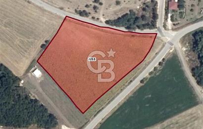 CB BLACK'TAN MUDANYA'DA SOĞUK HAVA DEPOLU İMARLI ARSA