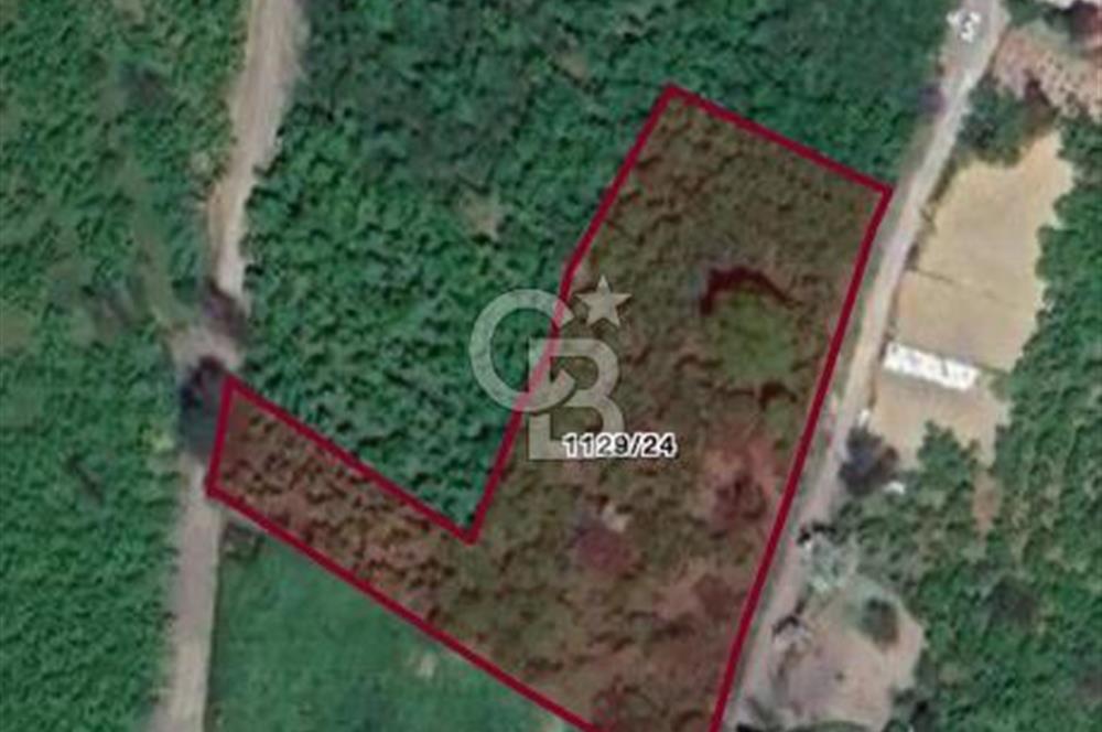 SAHİLVE YOL BAĞLANTISINDA SATILIK ARSA FIRSATI 