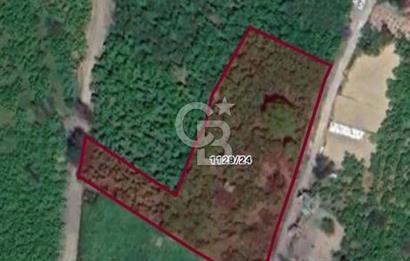 SAHİLVE YOL BAĞLANTISINDA SATILIK ARSA FIRSATI 