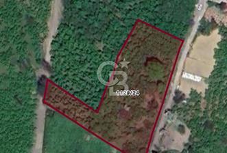 SAHİLVE YOL BAĞLANTISINDA SATILIK ARSA FIRSATI  - 1 - 318358