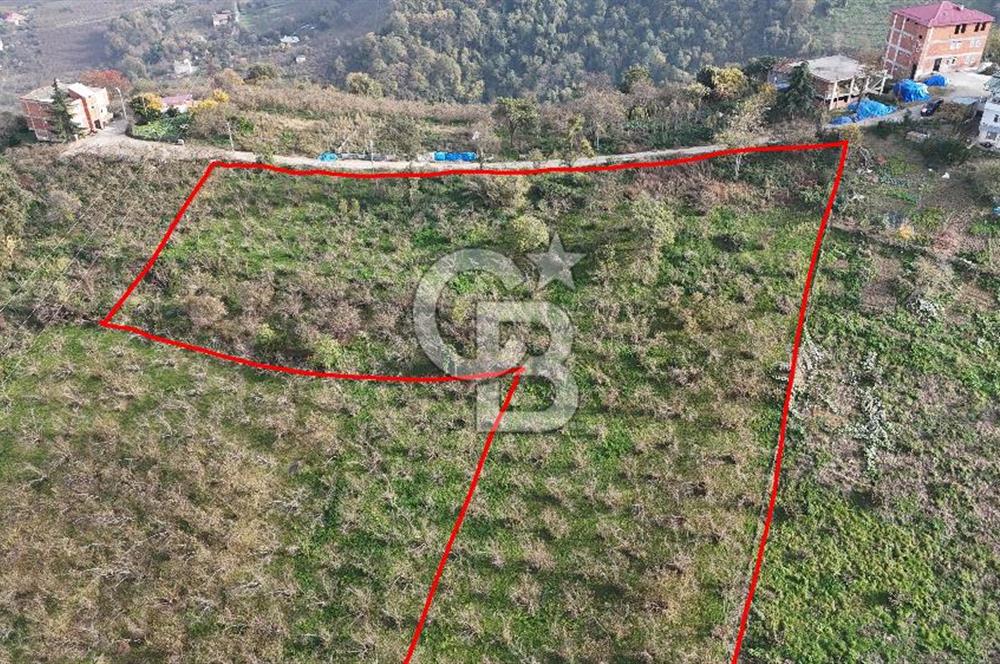 SAHİLVE YOL BAĞLANTISINDA SATILIK ARSA FIRSATI 