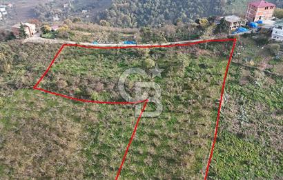 SAHİLVE YOL BAĞLANTISINDA SATILIK ARSA FIRSATI 