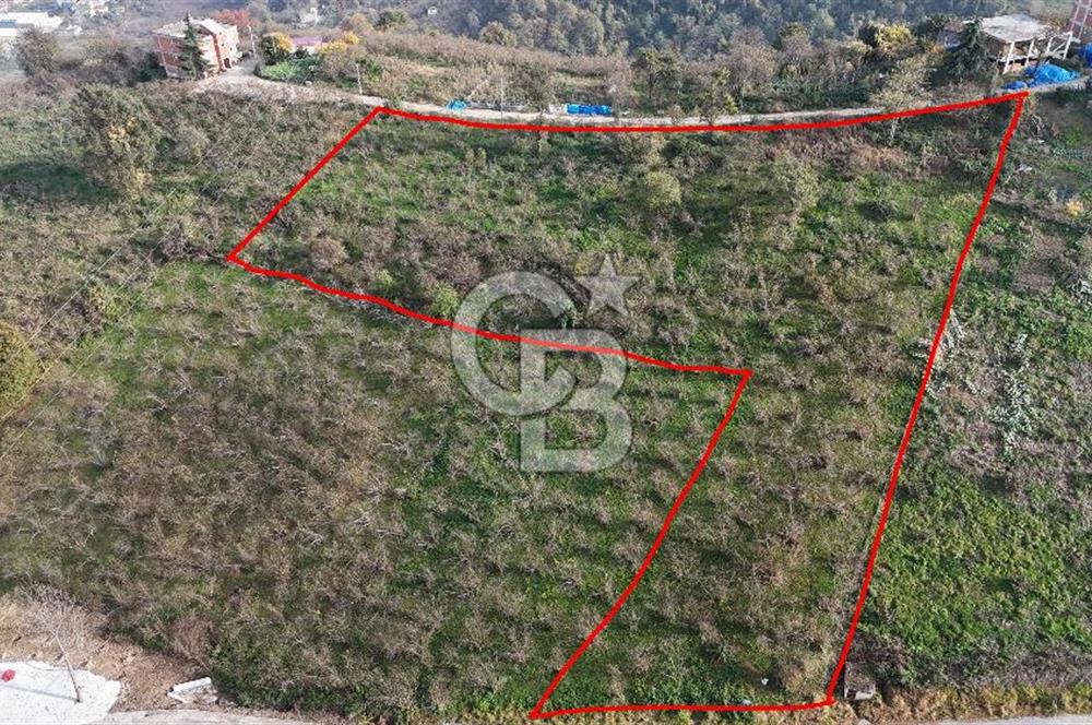 SAHİLVE YOL BAĞLANTISINDA SATILIK ARSA FIRSATI 