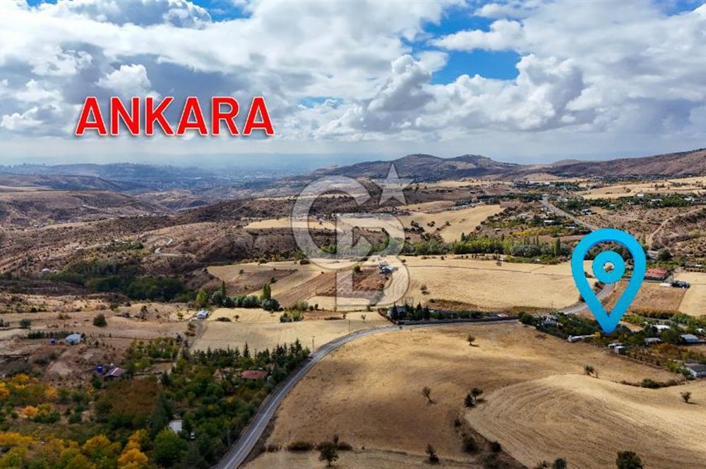 MEMLİK' DE 1300m2 İÇİNDE EŞYALI 1+1 EV BULUNAN SATILIK TARLA