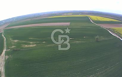 Tekirdağ Kapaklı 15.507m²-Müstakil Tapu Yatırımlık Fırsat Tarla