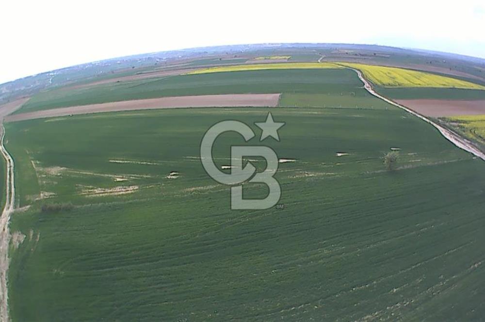 Tekirdağ Kapaklı 15.507m²-Müstakil Tapu Yatırımlık Fırsat Tarla