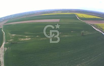 Tekirdağ Kapaklı 15.507m²-Müstakil Tapu Yatırımlık Fırsat Tarla
