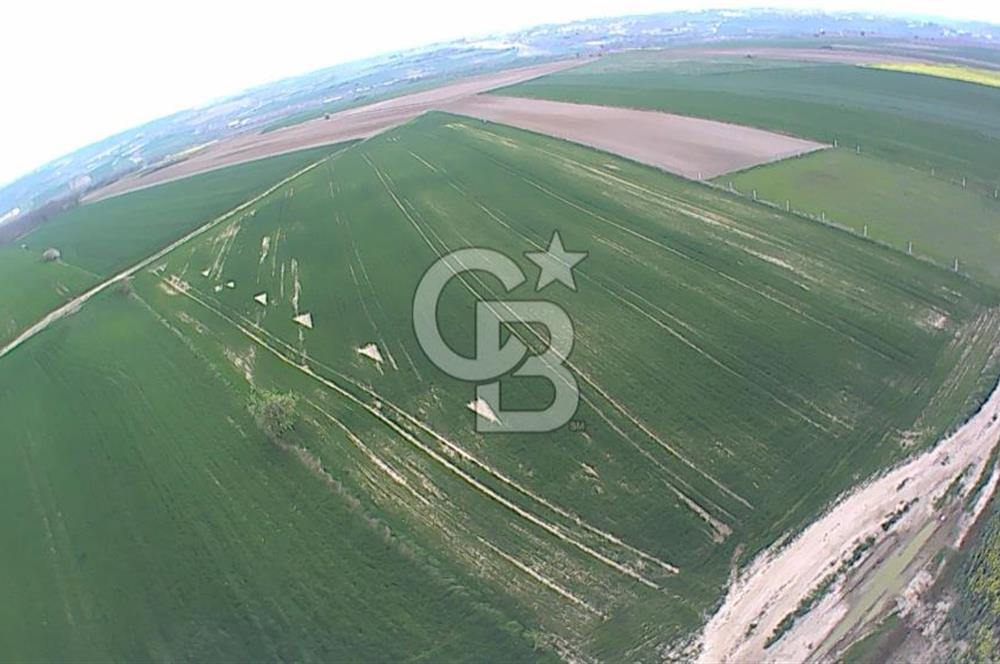Tekirdağ Kapaklı 15.507m²-Müstakil Tapu Yatırımlık Fırsat Tarla