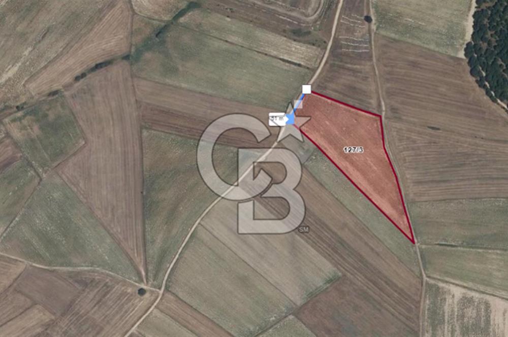 Tekirdağ Kapaklı 15.507m²-Müstakil Tapu Yatırımlık Fırsat Tarla