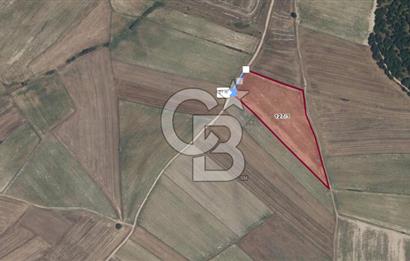 Tekirdağ Kapaklı 15.507m²-Müstakil Tapu Yatırımlık Fırsat Tarla