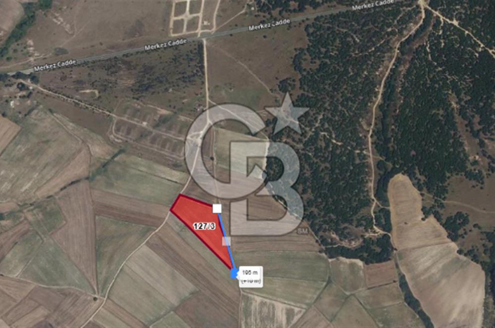 Tekirdağ Kapaklı 15.507m²-Müstakil Tapu Yatırımlık Fırsat Tarla