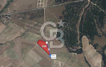 Tekirdağ Kapaklı 15.507m²-Müstakil Tapu Yatırımlık Fırsat Tarla