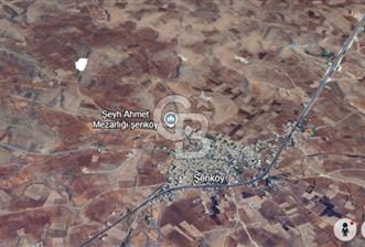 Midyat Şenköy'de Satılık Bağ Arazisi - 3 - 318348