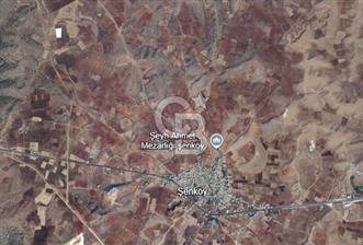 Şenköy / Midyat –  Resmi Yola Cepheli Tarla - 2 - 318349