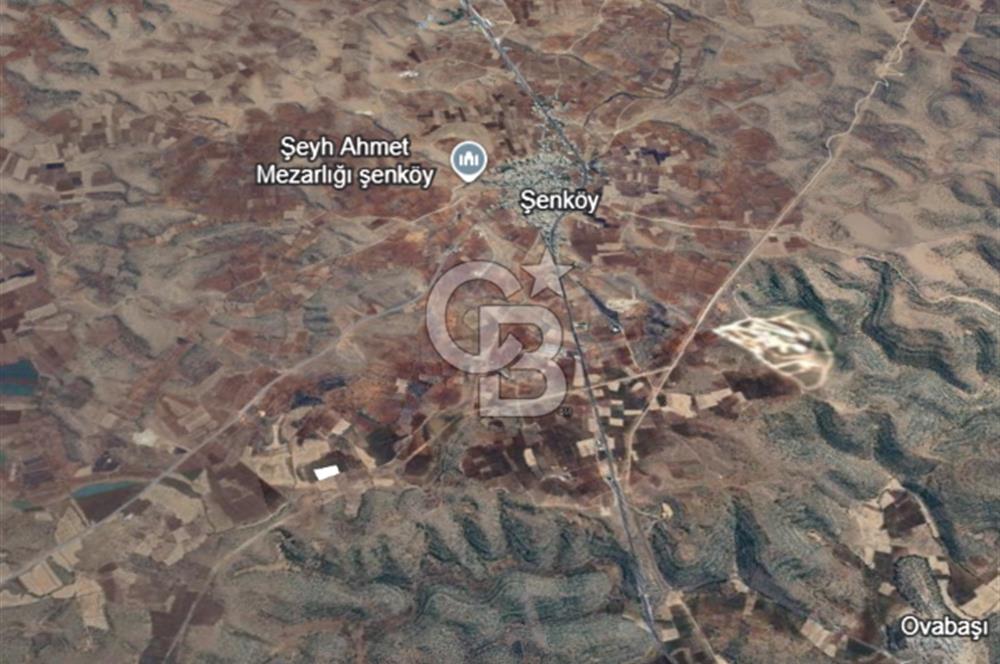 Şenköy / Midyat –  Resmi Yola Cepheli Tarla