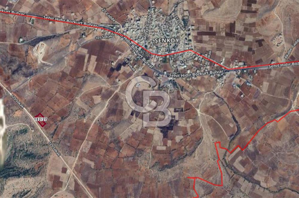 Şenköy / Midyat – 5.930 m² Bağ Arazisi | Asfalt Yola Cepheli, Köye Yakın