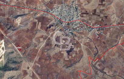 Şenköy / Midyat – 5.930 m² Bağ Arazisi | Asfalt Yola Cepheli, Köye Yakın