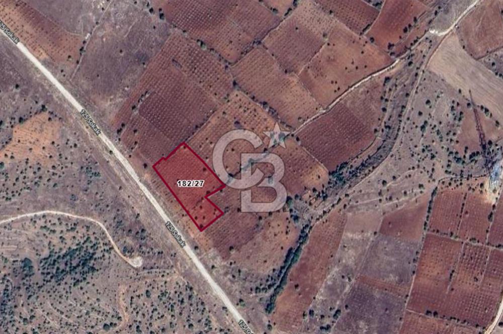 Şenköy / Midyat – 5.930 m² Bağ Arazisi | Asfalt Yola Cepheli, Köye Yakın