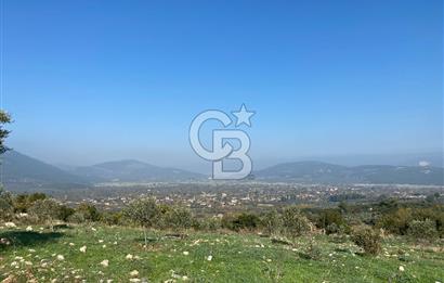 Muğla Yeşilyurt’ta Kaynak Sulu Zeytinlik – Hazır Sulama Sistemli –Tarla