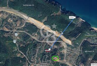 CB'DAN ŞİLE ŞUAYPLİ MÜSTAKİL, FIRSAT, YOLA CEPHE, VİLLALARA 200M2 MESAFEDE - 7 - 318351