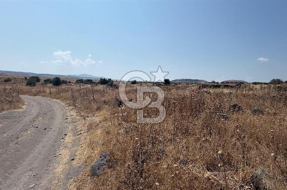 Manisa Kula Körez Mah. Ankara Asfaltına Yakın Satılık Arsa