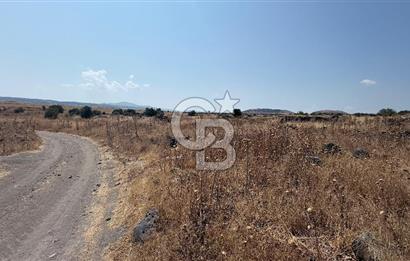 Manisa Kula Körez Mah. Ankara Asfaltına Yakın Satılık Arsa