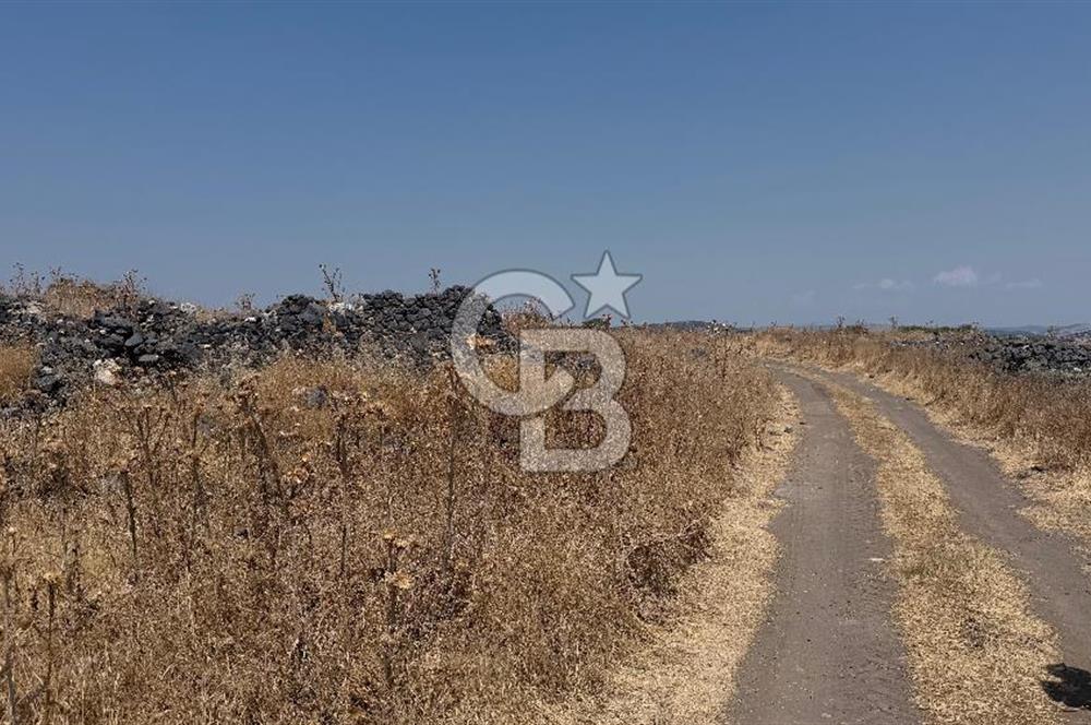 Manisa Kula Körez Mah. Ankara Asfaltına Yakın Satılık Arsa