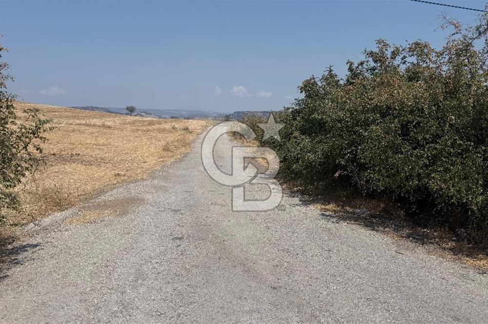 Manisa Kula Körez Mah. Ankara Asfaltına Yakın Satılık Arsa