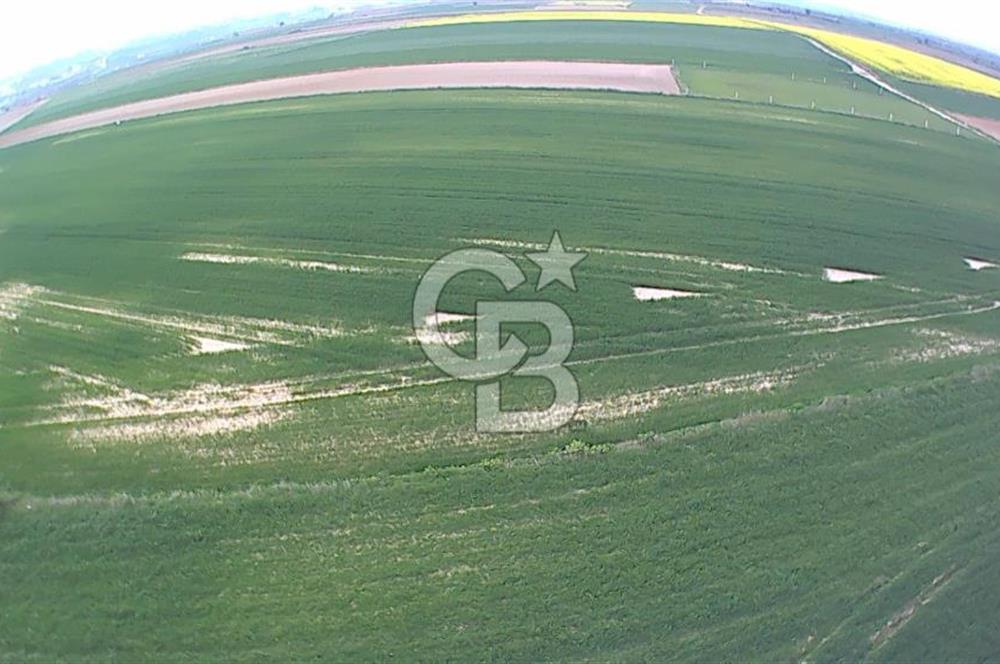 Tekirdağ Kapaklı 15.507m²-Müstakil Tapu Yatırımlık Fırsat Tarla